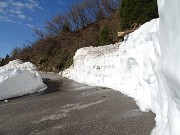 CA' - PASSO SAN MARCO - MONTU' in risveglio primaverile (3magg21) - FOTOGALLERY"